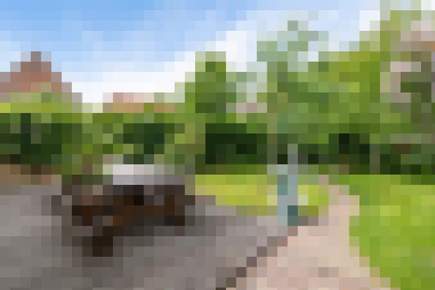 Haadstrjitte 11 Wierum thumbnail 4