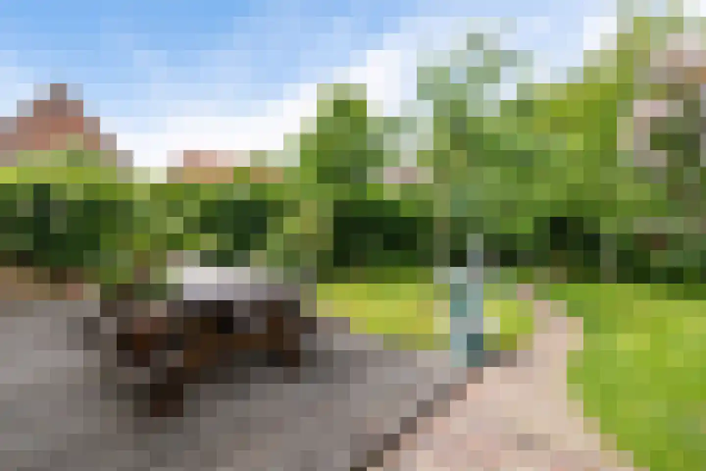 Haadstrjitte 11 Wierum thumbnail 4