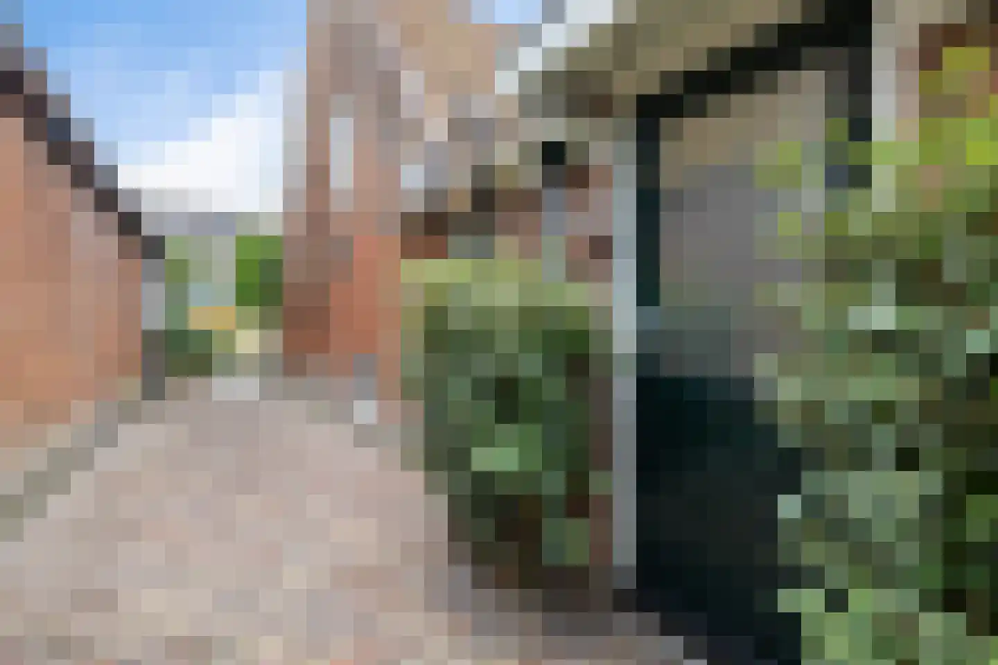 Haadstrjitte 11 Wierum thumbnail 6