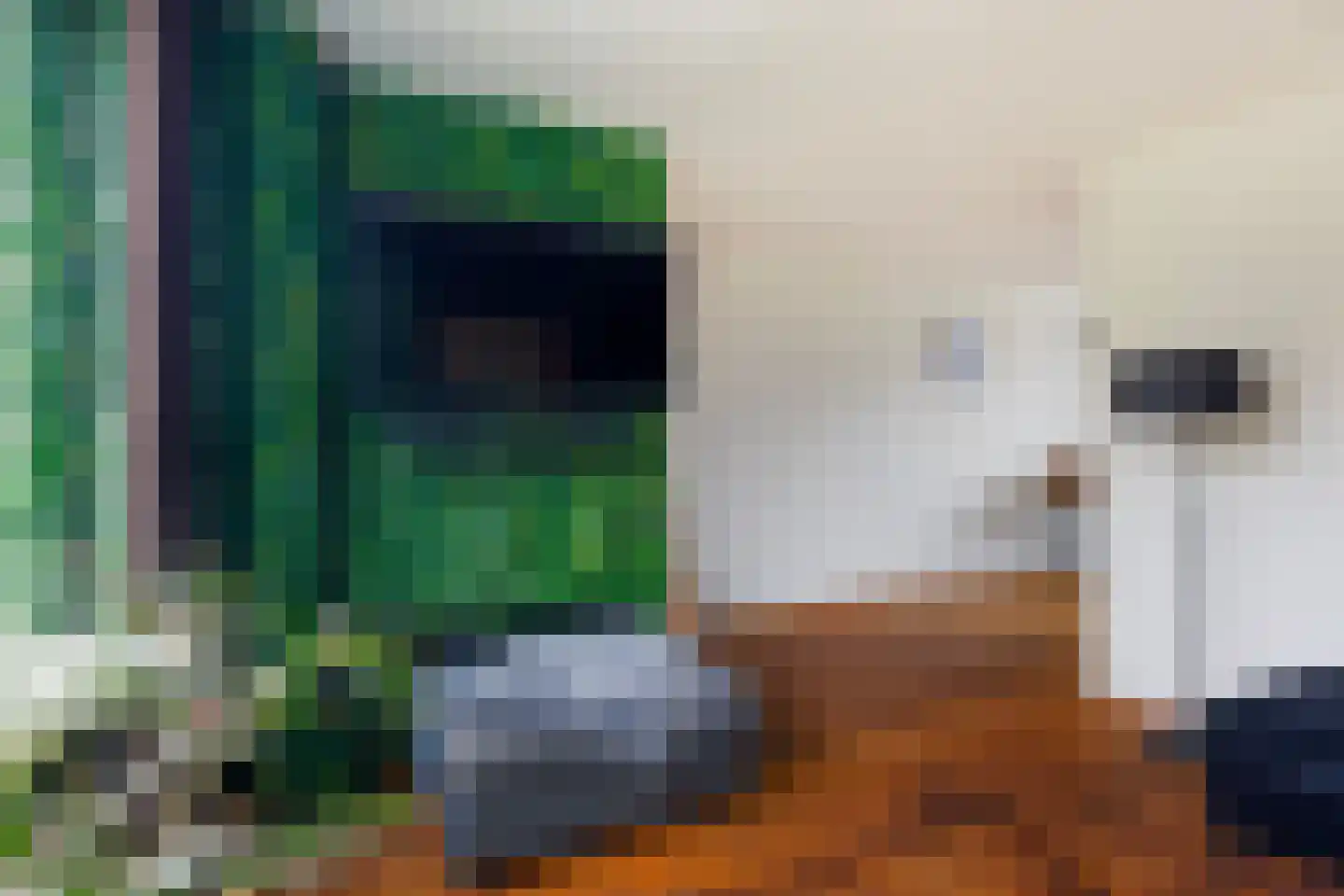 Haadstrjitte 16 Wierum thumbnail 12