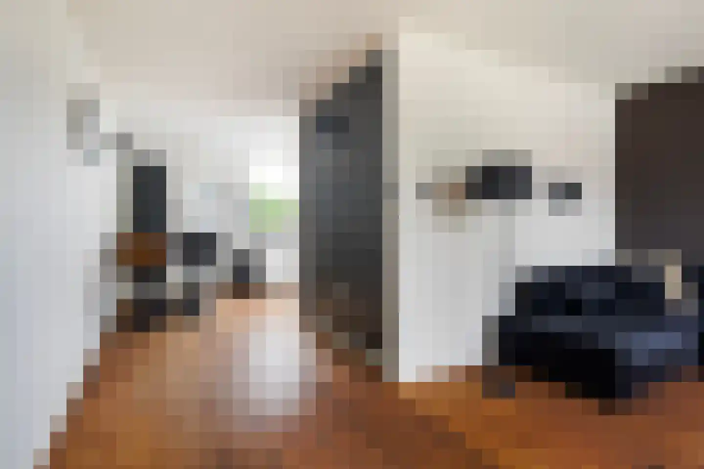 Haadstrjitte 16 Wierum thumbnail 13