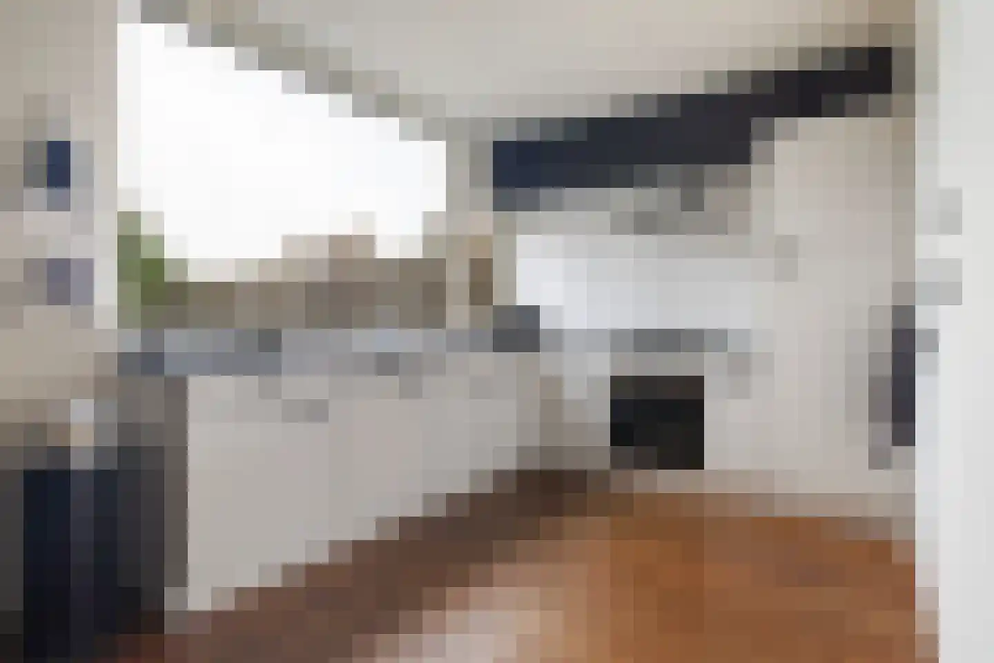 Haadstrjitte 16 Wierum thumbnail 16