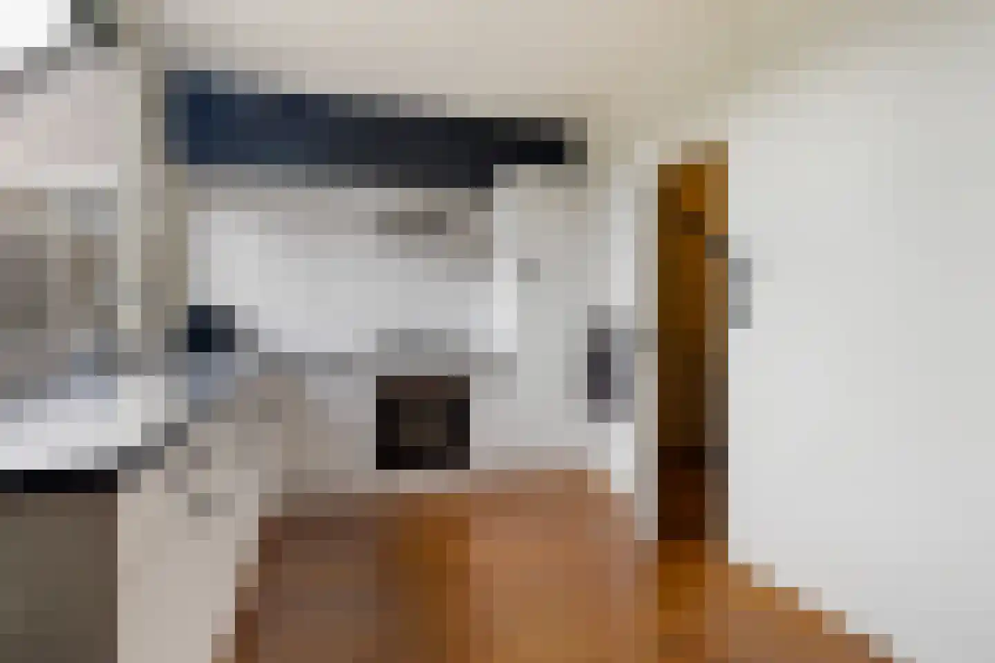 Haadstrjitte 16 Wierum thumbnail 17