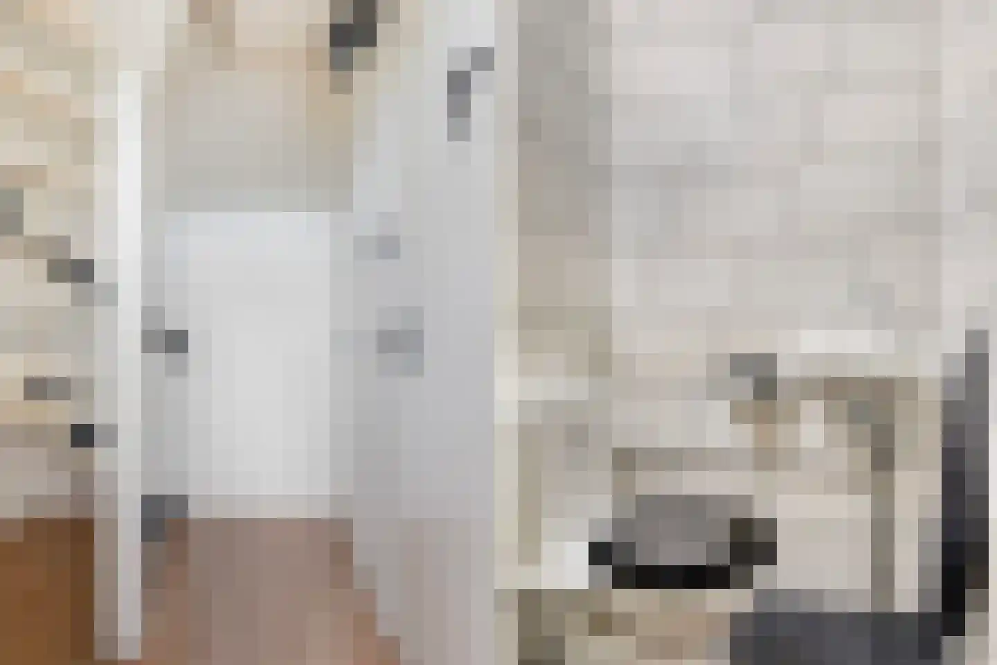 Haadstrjitte 16 Wierum thumbnail 20