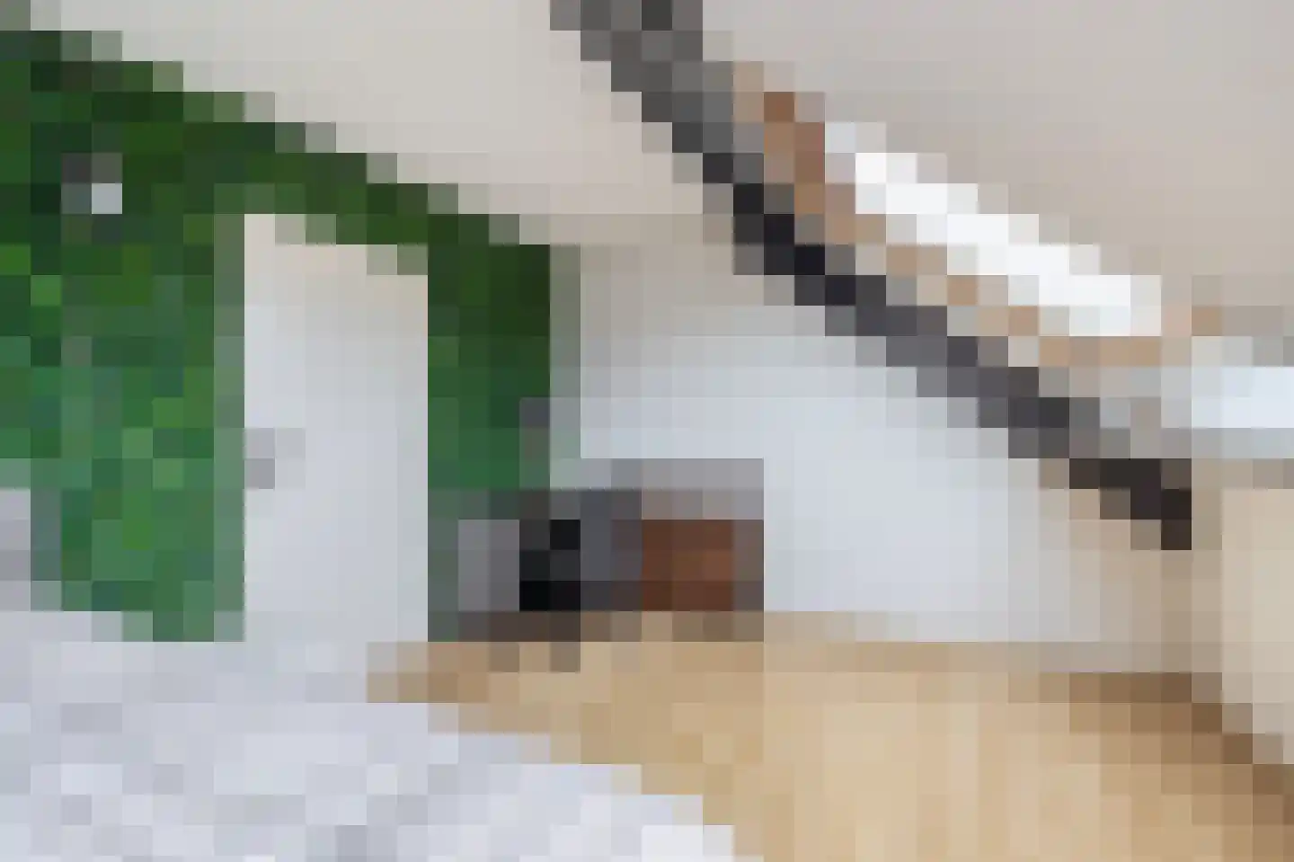 Haadstrjitte 16 Wierum thumbnail 20