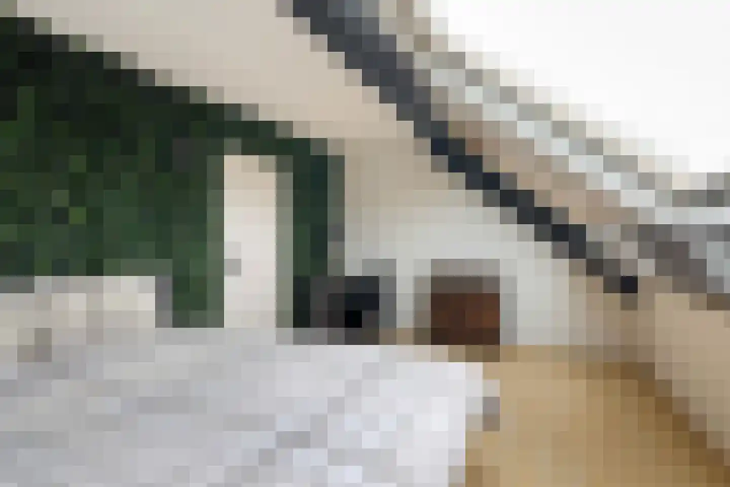 Haadstrjitte 16 Wierum thumbnail 23