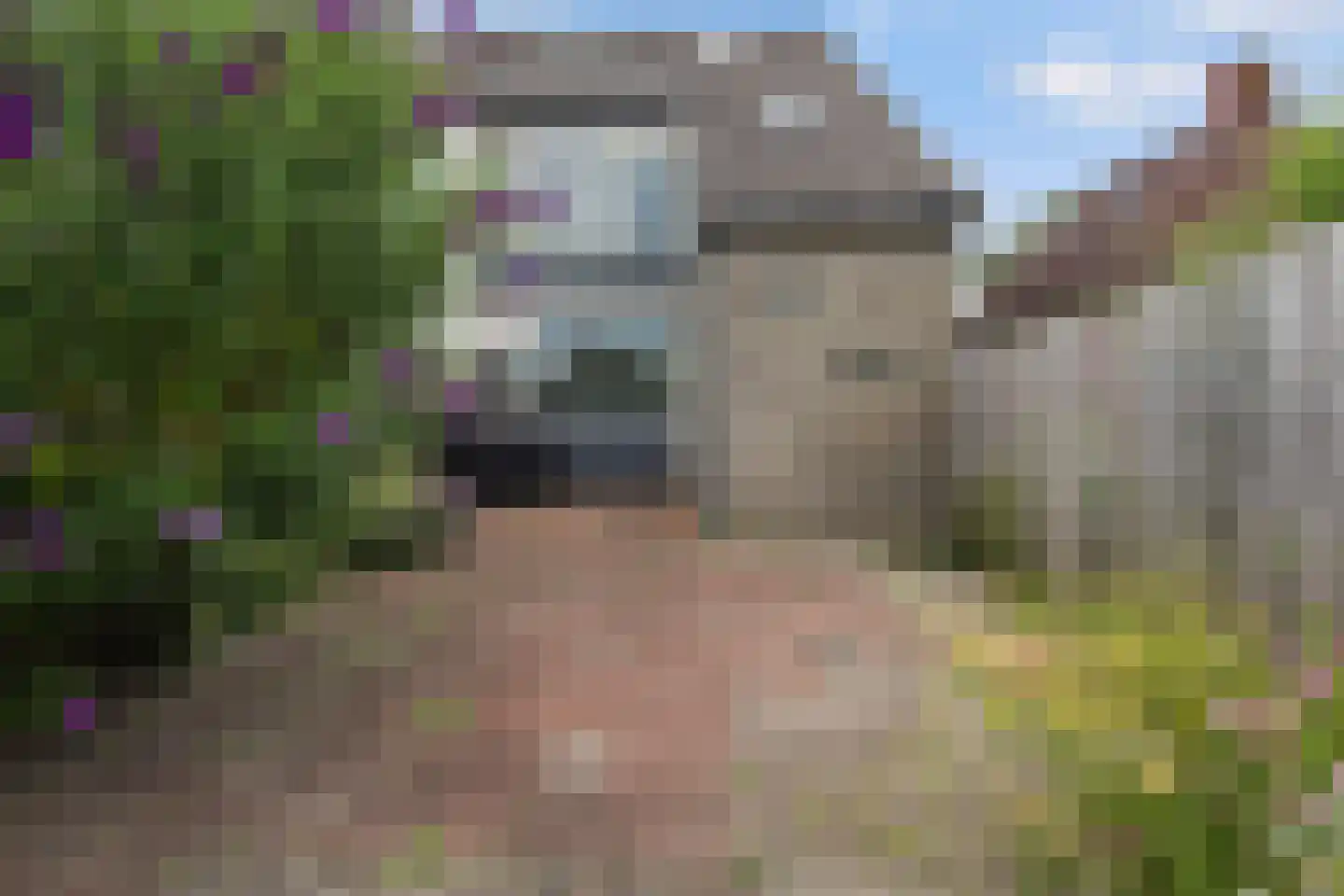 Haadstrjitte 16 Wierum thumbnail 37