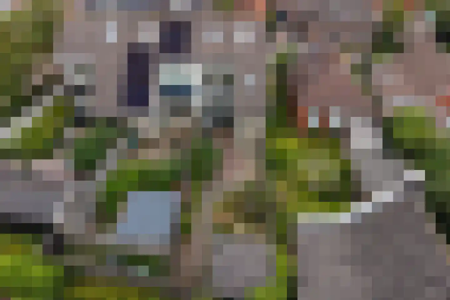 Haadstrjitte 16 Wierum thumbnail 44