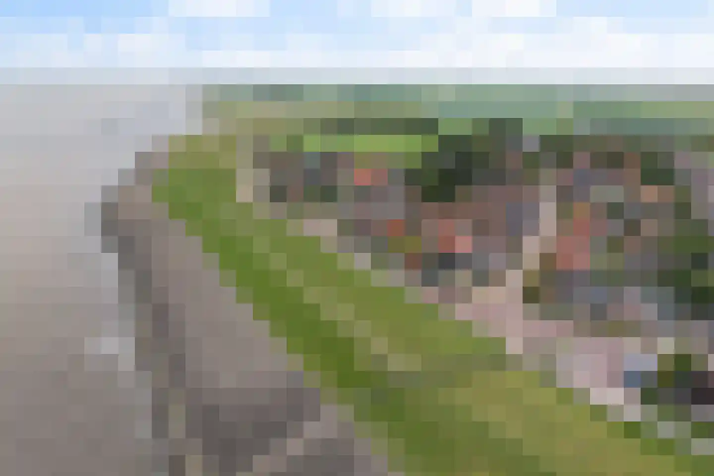 Haadstrjitte 16 Wierum thumbnail 6