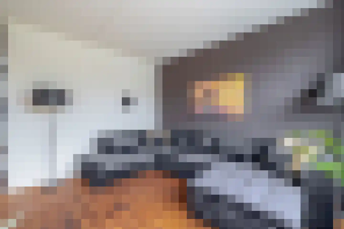 Haadstrjitte 16 Wierum thumbnail 7
