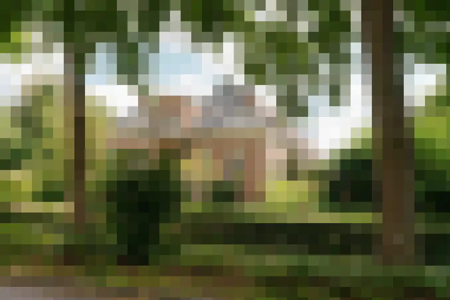 Haadstrjitte 2 Feanwâlden foto 2