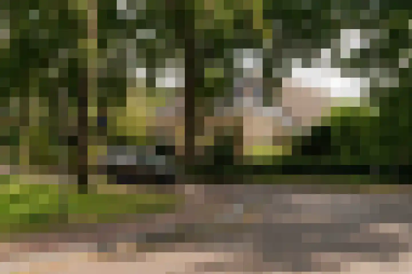 Haadstrjitte 2 Feanwâlden thumbnail 41