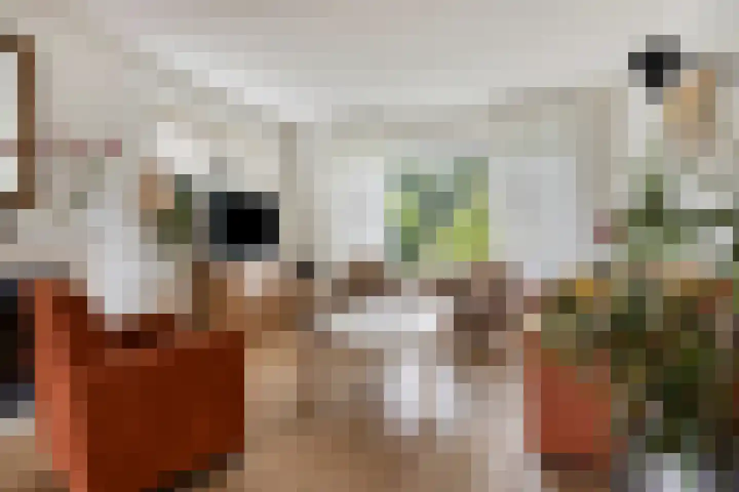 Haadstrjitte 46 Feanwâlden thumbnail 10