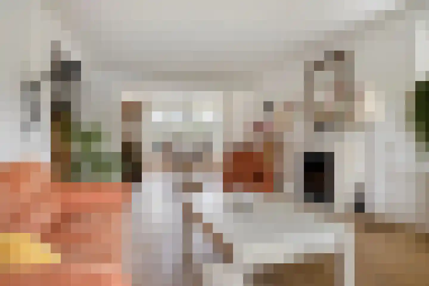 Haadstrjitte 46 Feanwâlden thumbnail 8