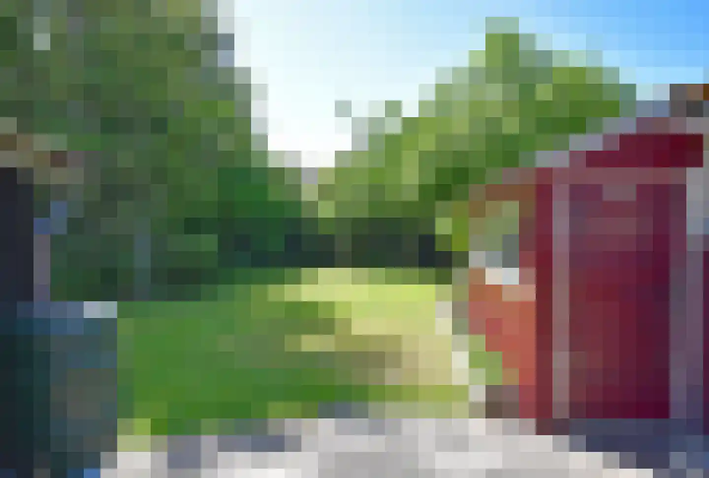 Haadwei 118 Damwâld thumbnail 20