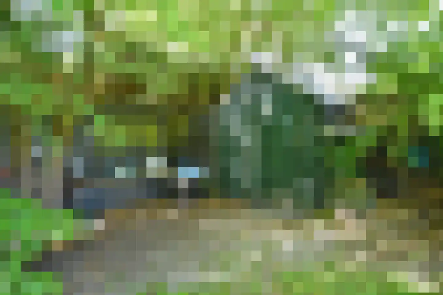 Haadwei 118 Damwâld thumbnail 22