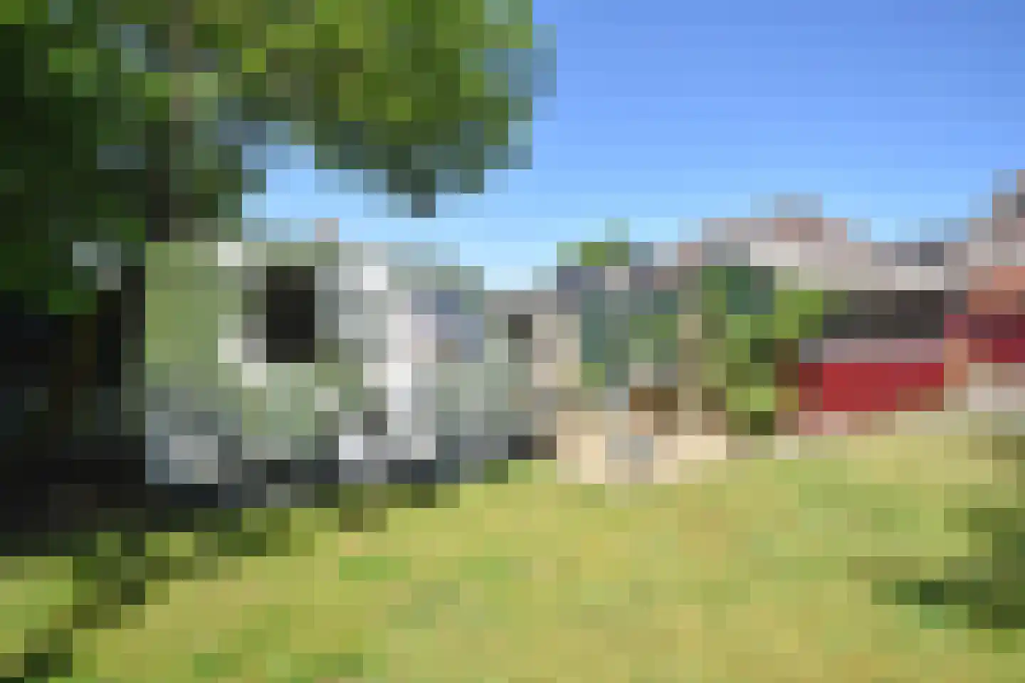Haadwei 118 Damwâld thumbnail 23