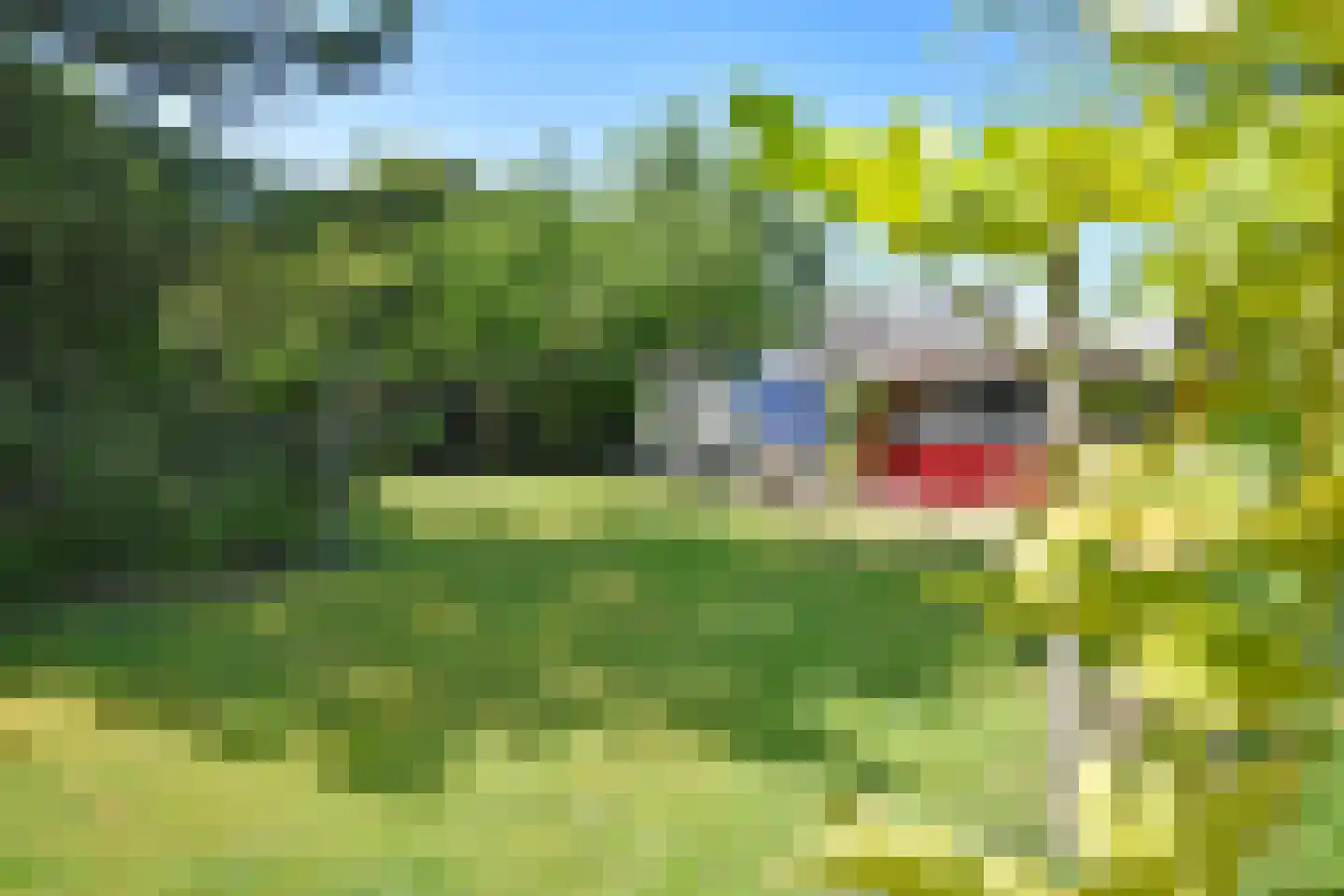 Haadwei 118 Damwâld thumbnail 25