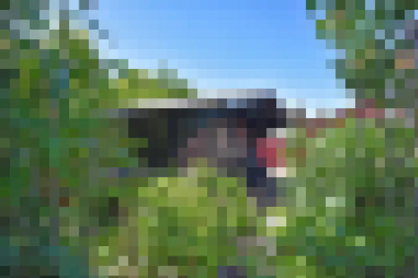 Haadwei 118 Damwâld thumbnail 29