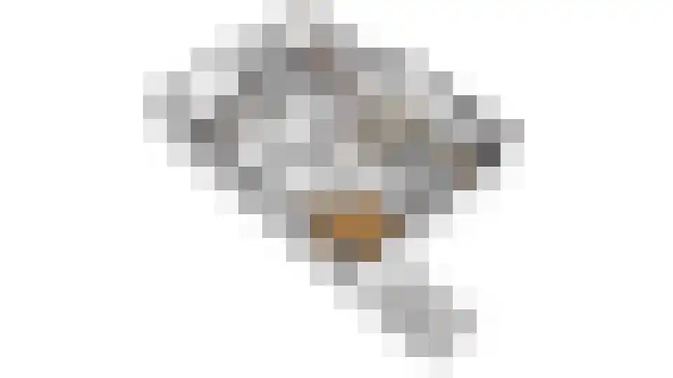 Haadwei 118 Damwâld thumbnail 35