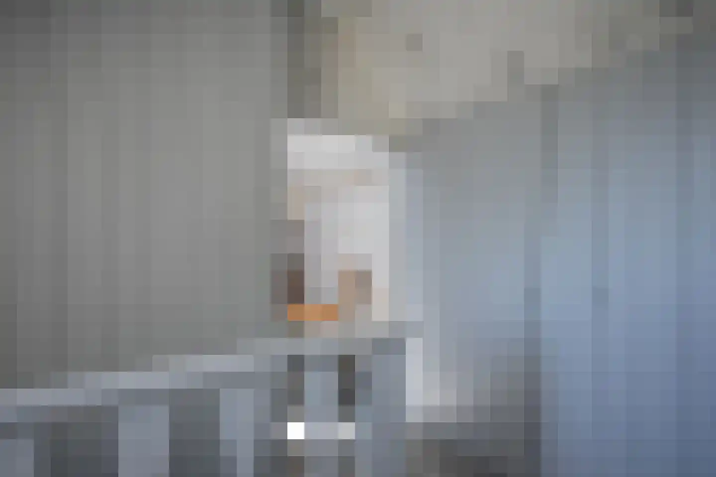 Haadwei 118 Damwâld thumbnail 62