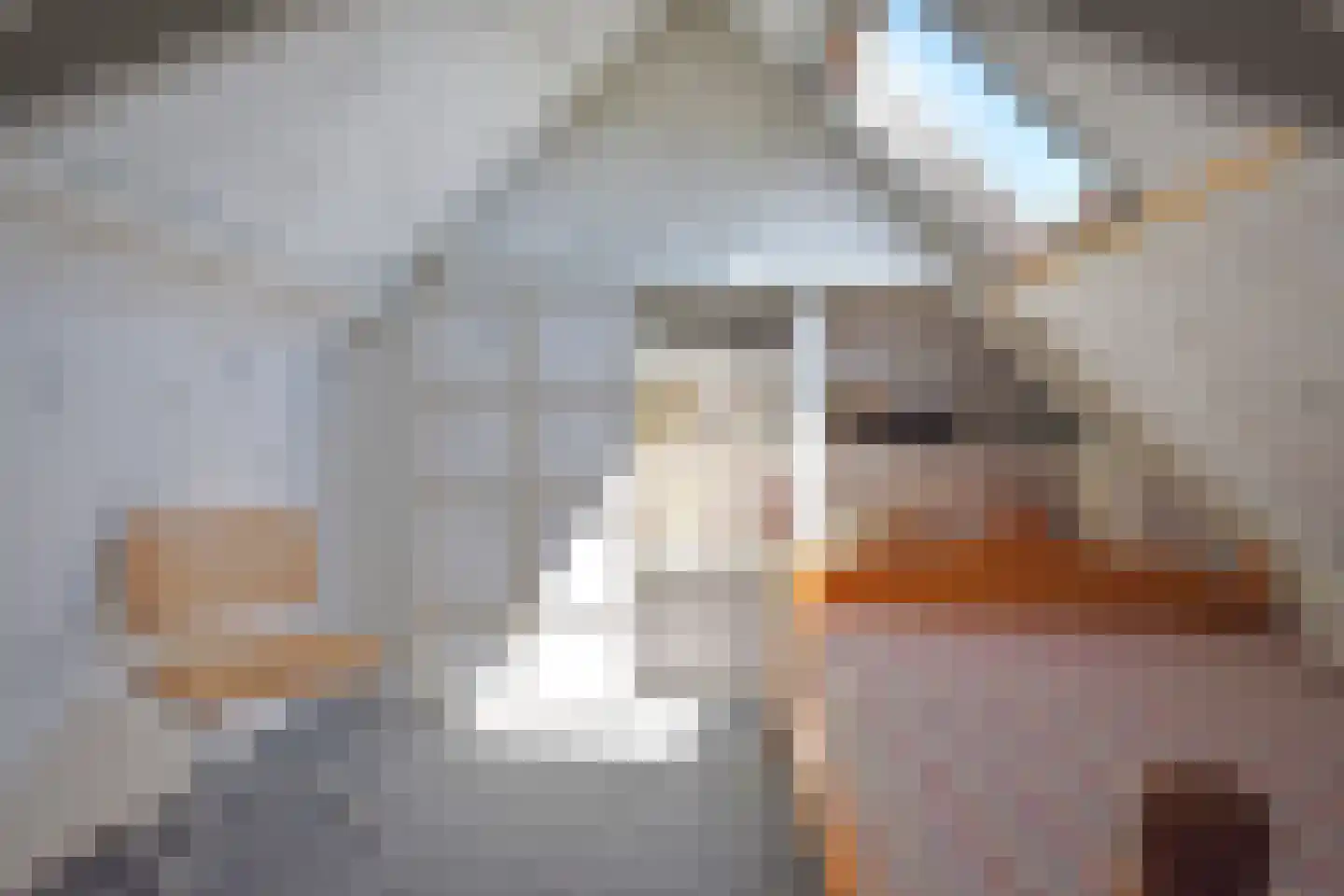 Haadwei 118 Damwâld thumbnail 63