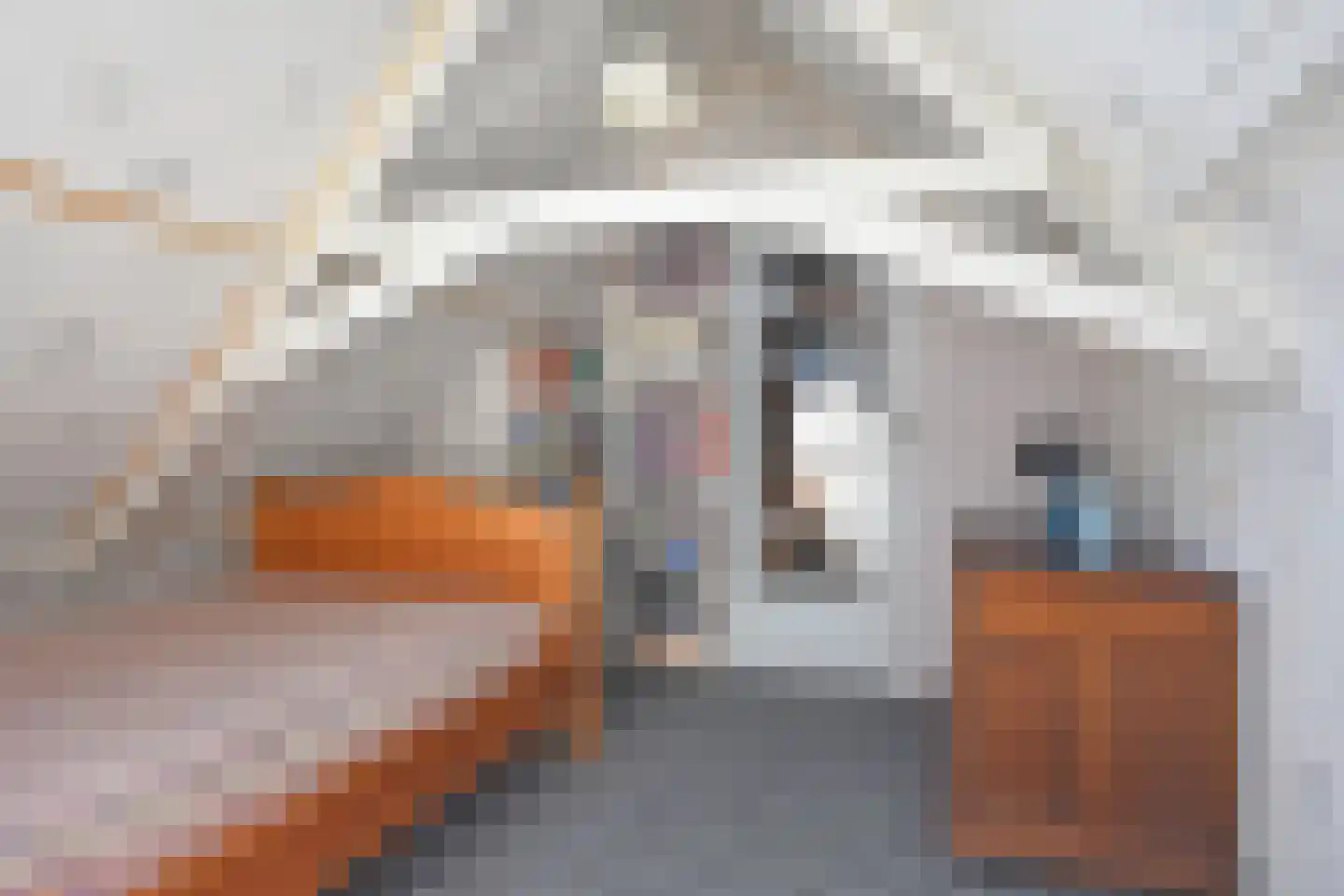 Haadwei 118 Damwâld thumbnail 64