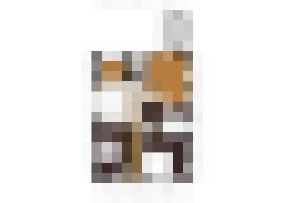 Haadwei 118 Damwâld thumbnail 69