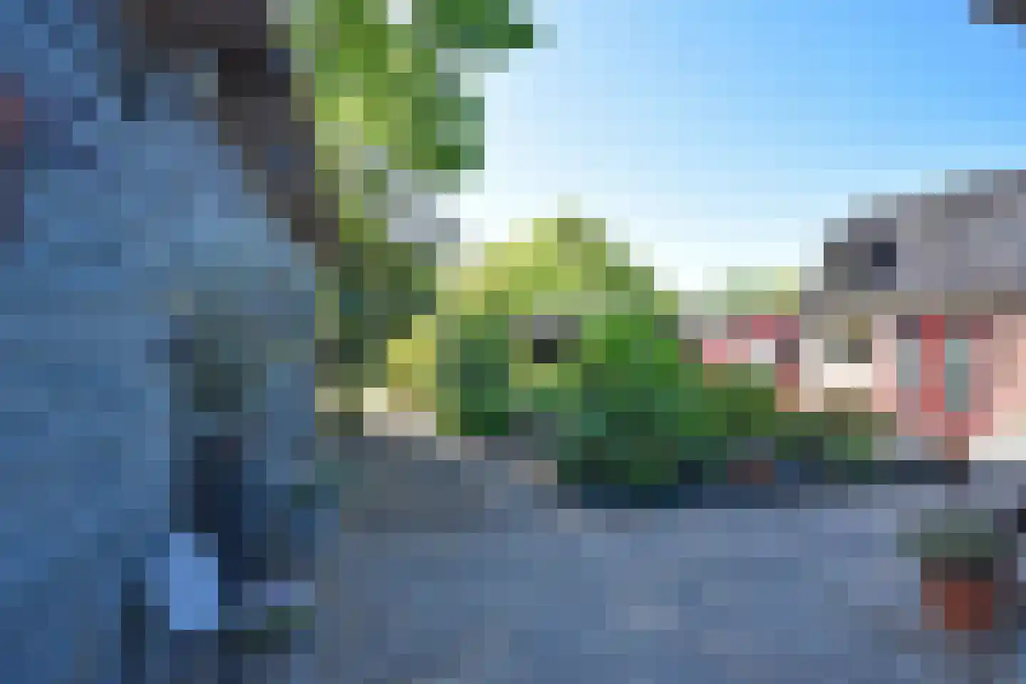 Haadwei 118 Damwâld thumbnail 8