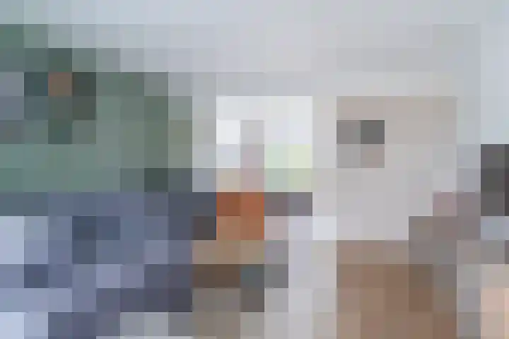 Haadwei 132 Damwâld thumbnail 10