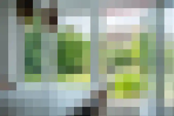 Haadwei 132 Damwâld thumbnail 13
