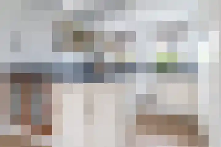 Haadwei 132 Damwâld thumbnail 17