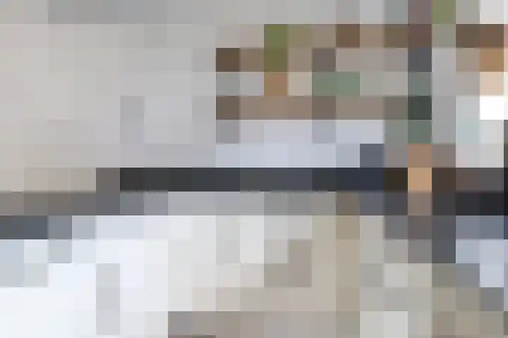 Haadwei 132 Damwâld thumbnail 18