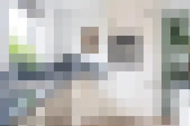 Haadwei 132 Damwâld thumbnail 19