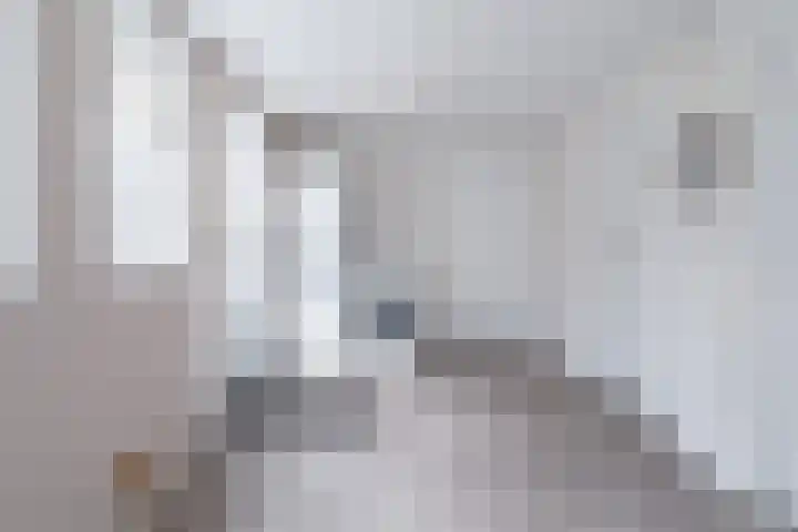 Haadwei 132 Damwâld thumbnail 20