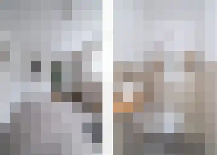 Haadwei 132 Damwâld thumbnail 21
