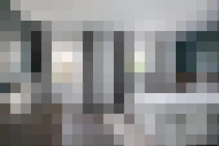 Haadwei 132 Damwâld thumbnail 24
