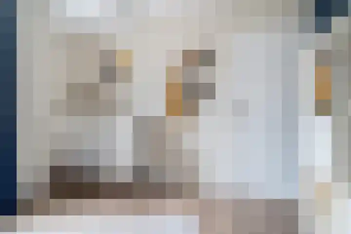 Haadwei 132 Damwâld thumbnail 27