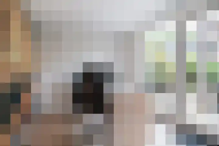 Haadwei 132 Damwâld thumbnail 29