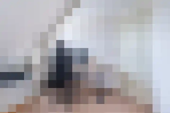 Haadwei 132 Damwâld thumbnail 33