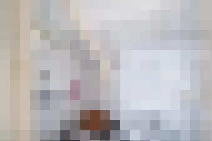 Haadwei 132 Damwâld thumbnail 36