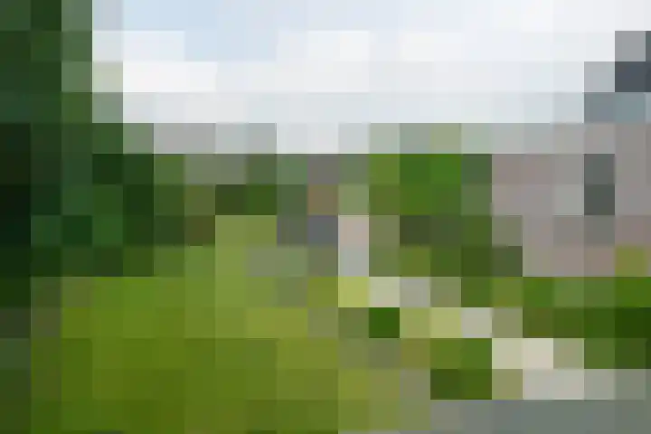 Haadwei 132 Damwâld thumbnail 37