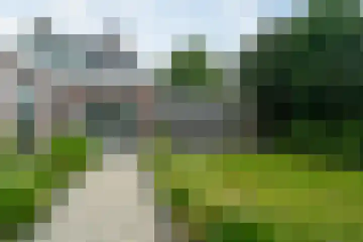 Haadwei 132 Damwâld thumbnail 38