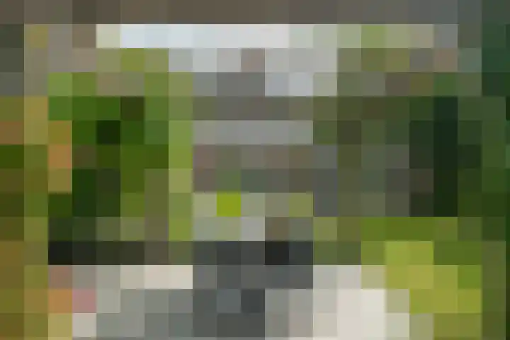 Haadwei 132 Damwâld thumbnail 39