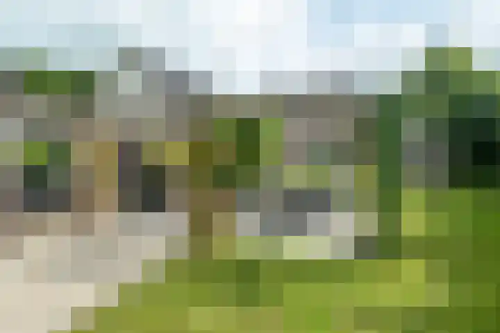 Haadwei 132 Damwâld thumbnail 40