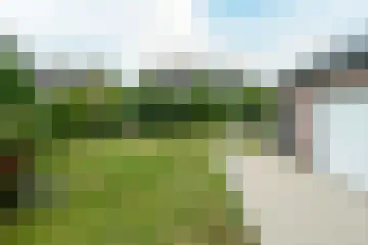 Haadwei 132 Damwâld thumbnail 41