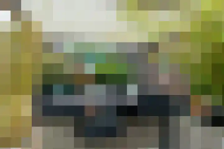 Haadwei 132 Damwâld thumbnail 42