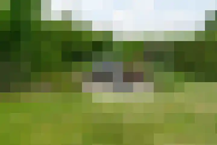 Haadwei 132 Damwâld thumbnail 43