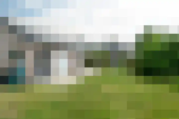 Haadwei 132 Damwâld thumbnail 44