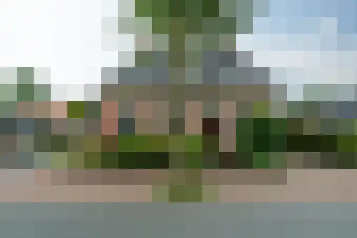 Haadwei 132 Damwâld thumbnail 5